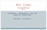 MTH 11203 Algebra EXPONENTS, PARENTHESES, AND THE ORDER OF OPERATIONS CHAPTER 1 SECTION 9.