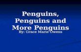 Penguins, Penguins and More Penguins By: Grace Marie Owens.