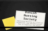 Danish Nursing Society Improving Nursing by Clinical Guidelines and Documentation. How to organize the work?