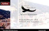 City of Black Hawk Water HammerSeptember 2002 Arber Water Hammer Travis Meyer, P.E. Richard P. Arber Associates.