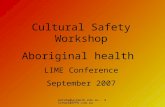 Petaha@unimelb.edu.au - michael@SPPU.com.au Cultural Safety Workshop Aboriginal health LIME Conference September 2007.