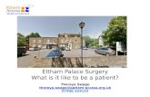 Eltham Palace Surgery What is it like to be a patient? Thoreya Swage thoreya.swage@patient-access.org.uk thoreya.swage@patient-access.org.uk 07946 559132.