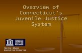 Overview of Connecticut’s Juvenile Justice System Hector Glynn Executive Director.
