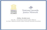 Abby Anderson Exec.Dir., Connecticut Juvenile Justice Alliance Co-Chair, National Juvenile Justice Network Executive Committee.