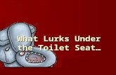 What Lurks Under the Toilet Seat. Fact or Fiction?