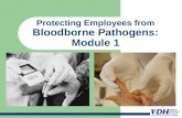 Protecting Employees from Bloodborne Pathogens: Module 1.