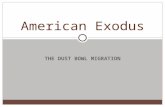 THE DUST BOWL MIGRATION American Exodus. Theme: Migration .