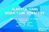 ALBERTA GANG REDUCTION STRATEGY Alberta Association of Police Governance Lethbridge, Alberta April 30, 2011 Darren Caul, Director.