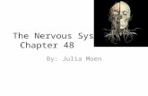 The Nervous System Chapter 48 By: Julia Moen. Evolution The ability of cells to respond to the environment has evolved over billions of years Plants use.