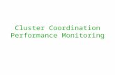 Cluster Coordination Performance Monitoring. Overview What is CCPM? CCPM process Experience from 5 Nutrition clusters – Process- what worked, what worked.
