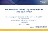 EU Health & Safety Legislation Now and Tomorrow The European Cement Industry: a Health Perspective CEMBUREAU General Assembly Stockholm June 13, 2006 Ursula.