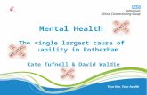 Mental Health The single largest cause of disability in Rotherham Kate Tufnell & David Waldie 1.