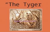 “The Tyger”. “THE Tyger” By William Blake Tyger! Tyger! burning bright In the forests of the night, What immortal hand or eye Could frame thy fearful.