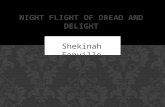 Shekinah Fonville. “Night Flight of Dread and Delight” depicts exactly what the title is. Night flight meaning owls are nocturnal animals and they fly.