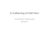 A Gathering of Old Men Vocabulary Flashcards Period 1.