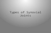 Types of Synovial Joints. Selected Synovial Joints: The Knee This is considered the most complex joint in the human body. It is actually considered three.