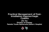 Practical Management of Post- Irradiation Haemorrhagic Cystitis JHL Tsu Division of Urology Pamela Youde Nethersole Eastern Hospital.