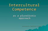 Intercultural Competence as a pluralistic approach Antoinette Camilleri Grima.