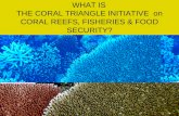 WHAT IS THE CORAL TRIANGLE INITIATIVE on CORAL REEFS, FISHERIES & FOOD SECURITY?