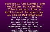 1 Stressful Challenges and Resilient Functioning: Illustrations from a Multi-Level Perspective on Child Maltreatment Dante Cicchetti, Ph.D. Mt. Hope Family.
