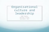 Organisational culture and leadership EMWS Mumbai Darlene Fisher September 2014.