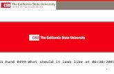1 CSU Fund 0499-What should it look like at 06/30/2007?