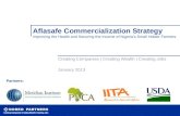 Aflasafe Commercialization Strategy Improving the Health and Securing the Income of Nigeria’s Small Holder Farmers Creating Companies | Creating Wealth.