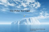 The Polar Ice Caps Created by Diane McDonough March 2012.
