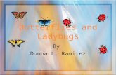 Butterflies and Ladybugs By Donna L. Ramirez Butterflies.