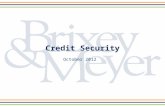 Credit Security October 2012. What is it? Costs of Identity Theft Employer Risks 3 D’s (Deter, Detect, Defend) IRS Tips New Areas Questions Agenda 2.