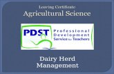 Dairy Herd Management.  Planning Calving  Calving  After Calving Management  Management of cow in early, mid and late lactation.  Lactation Curve.