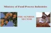 Ministry of Food Process Industries THE SUNRISE SECTOR.