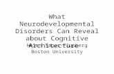 What Neurodevelopmental Disorders Can Reveal about Cognitive Architecture Helen Tager-Flusberg Boston University.
