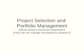 Project Selection and Portfolio Management (Which project should be supported?) (How can we manage simultaneous projects?)