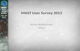 Nov 18 2013 MAST User Survey 2013 Anton Koekemoer STScI.