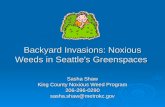 Backyard Invasions: Noxious Weeds in Seattle's Greenspaces Sasha Shaw King County Noxious Weed Program 206-296-0290sasha.shaw@metrokc.gov.