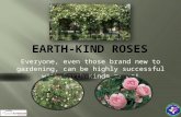 Everyone, even those brand new to gardening, can be highly successful with Earth-Kind® roses!