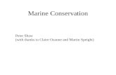Marine Conservation Peter Shaw (with thanks to Claire Ozanne and Martin Speight)