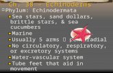 Ch. 38 – Echinoderms  Phylum: Echinodermata Sea stars, sand dollars, brittle stars, & sea cucumbers Marine Usually 5 arms  pentaradial No circulatory,