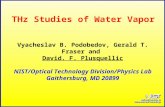 THz Studies of Water Vapor Vyacheslav B. Podobedov, Gerald T. Fraser and David. F. Plusquellic NIST/Optical Technology Division/Physics Lab Gaithersburg,