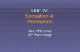 Unit IV: Sensation & Perception Mrs. O’Connor AP Psychology.