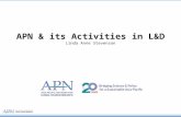 APN & its Activities in L&D Linda Anne Stevenson.