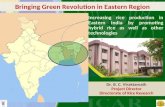 Dr. B. C. Viraktamath Project Director Directorate of Rice Research Bringing Green Revolution in Eastern Region Increasing rice production in Eastern India.