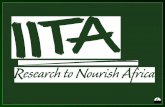 Impact of Trade on Domestic Rice Production and the challenge of Self- sufficiency in Nigeria Chuma Ezedinma Integrated Cassava Project International.