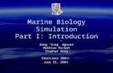 Marine Biology Simulation Part I: Introduction Dung “Zung” Nguyen Mathias Ricken Stephen Wong TeachJava 2004! June 25, 2004.