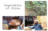 Vegetables of China. Prepared for students in Ethnobotany in China, a Study Abroad course at Eastern Illinois University taught by Gordon C. Tucker and.