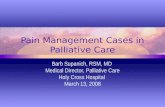 Pain Management Cases in Palliative Care Barb Supanich, RSM, MD Medical Director, Palliative Care Holy Cross Hospital March 13, 2008.