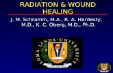 BIO-FREQUENCY SPECTRUM RADIATION & WOUND HEALING J. M. Schramm, M.A., R. A. Hardesty, M.D., K. C. Oberg, M.D., Ph.D.