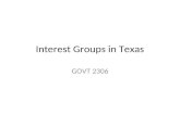 Interest Groups in Texas GOVT 2306. Along with political parties, interest groups are private organizations that attempt to influence public policies.