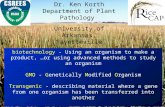 Biotechnology - Using an organism to make a product, …or using advanced methods to study an organism GMO - Genetically Modified Organism Transgenic - describing.